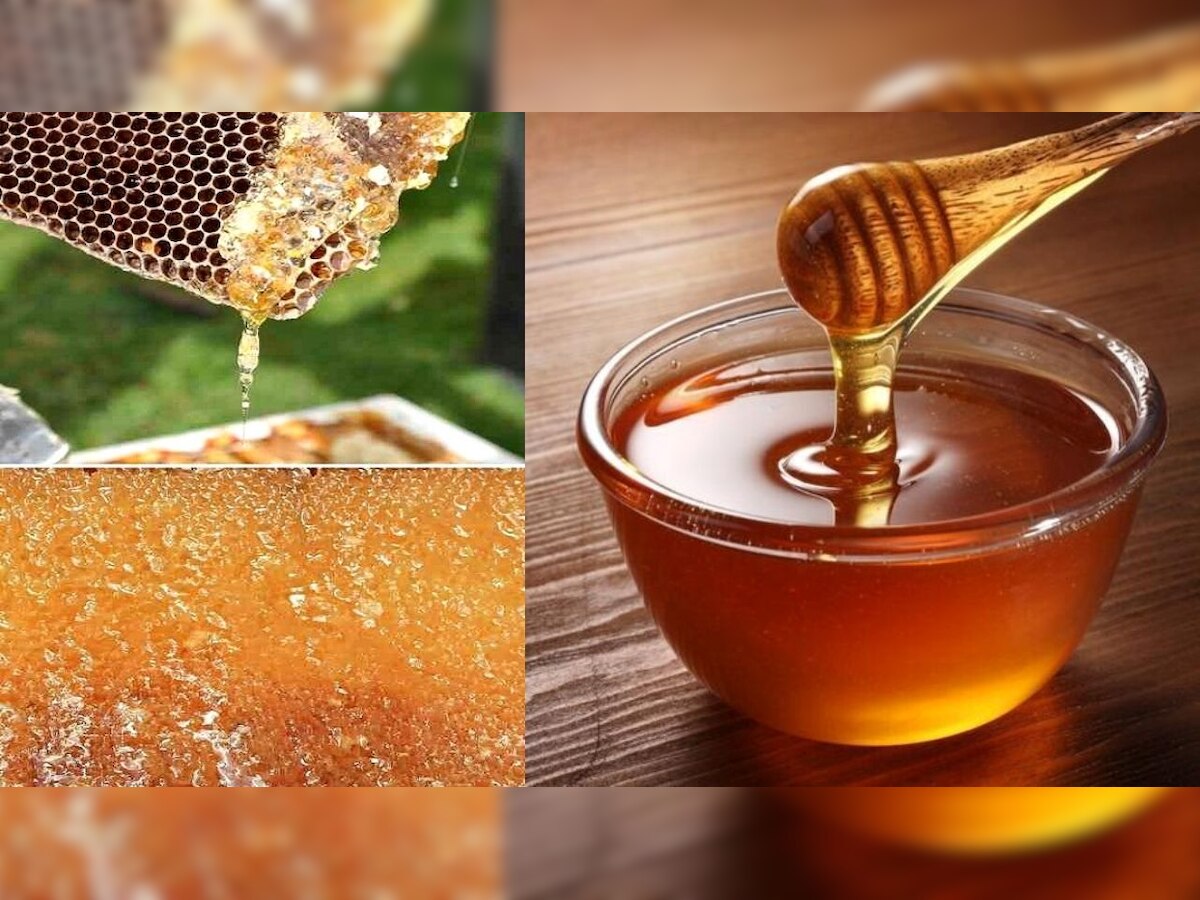 Honey Benefits: बारिश के मौसम में शहद का सेवन, सेहत के लिए फायदेमंद या नुकसानदायक?