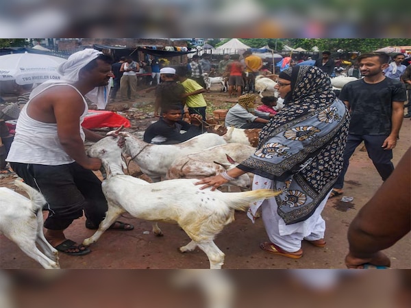 अलामती तस्वीर 