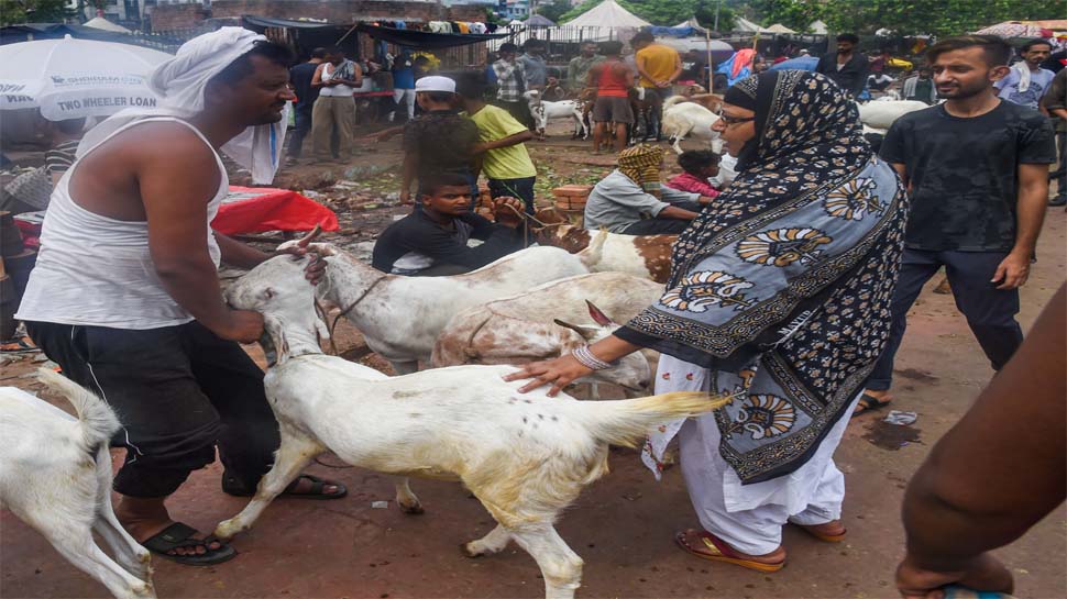 अलामती तस्वीर अलामती तस्वीर