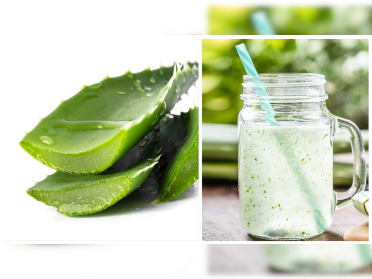 aloe vera benefits: एलोवेरा जूस पीने के हैं बड़े फायदे, पढ़ें पूरी ख़बर 