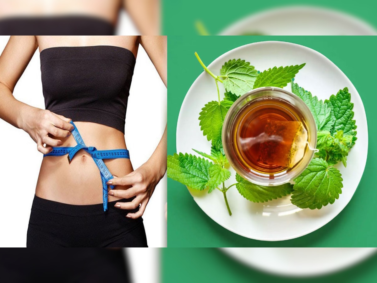Weight Loss के लिए क्या आपने कभी पी है ये खास Herbal Tea? कुछ ही दिनों में मिलेगी Flat Tummy 