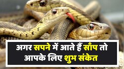  Snake in dream सपनों में साँप देखा तो बन सकता है बिगड़ा काम
