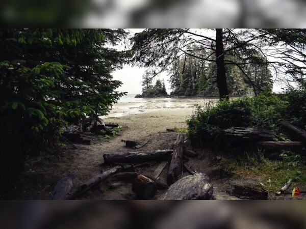 Illusion Photo: अगर दिमाग है तो खोजिए तस्वीर में छिपा कौआ? धुरंधरों के छूट गए पसीने