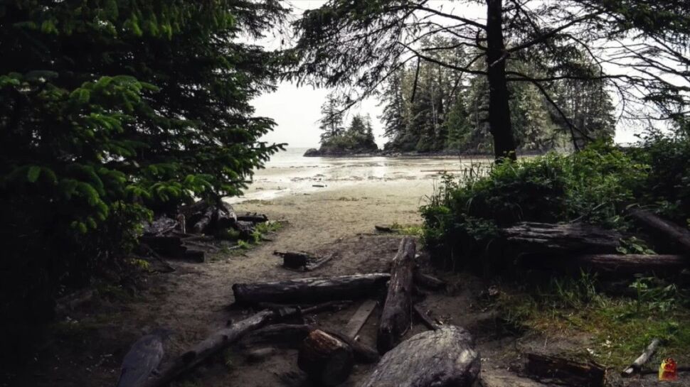 Illusion Photo: अगर दिमाग है तो खोजिए तस्वीर में छिपा कौआ? धुरंधरों के छूट गए पसीने Illusion Photo: अगर दिमाग है तो खोजिए तस्वीर में छिपा कौआ? धुरंधरों के छूट गए पसीने