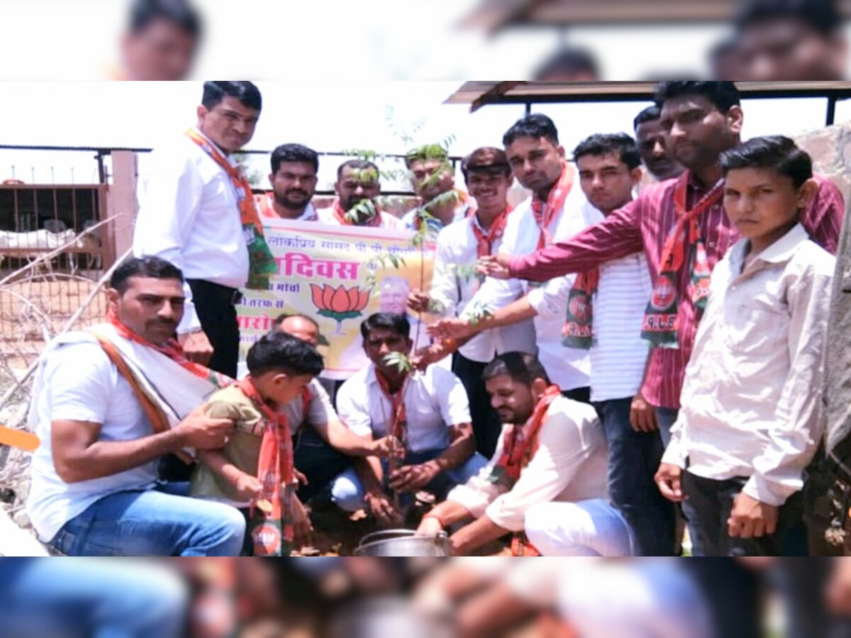 BJP कार्यकर्ताओं ने मनाया सांसद पीपी चौधरी का जन्मदिन, पौधरोपण समेत हुए कई कार्यक्रम