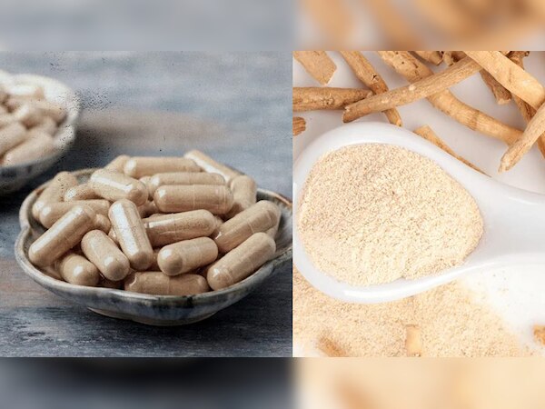 Ashwagandha benefits: मोटापा कम करने के साथ अश्वगंधा करता है ये बड़े काम; पुरुष ऐसे करें सेवन