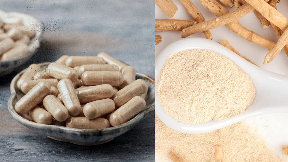 Ashwagandha benefits: मोटापा कम करने के साथ अश्वगंधा करता है ये बड़े काम; पुरुष ऐसे करें सेवन Ashwagandha benefits: मोटापा कम करने के साथ अश्वगंधा करता है ये बड़े काम; पुरुष ऐसे करें सेवन