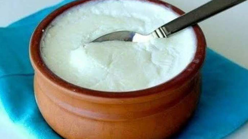 How to eat curd: दही खाने से पहले जान लें सही तरीका, वरना बाद में पड़ेगा पछताना How to eat curd: दही खाने से पहले जान लें सही तरीका, वरना बाद में पड़ेगा पछताना