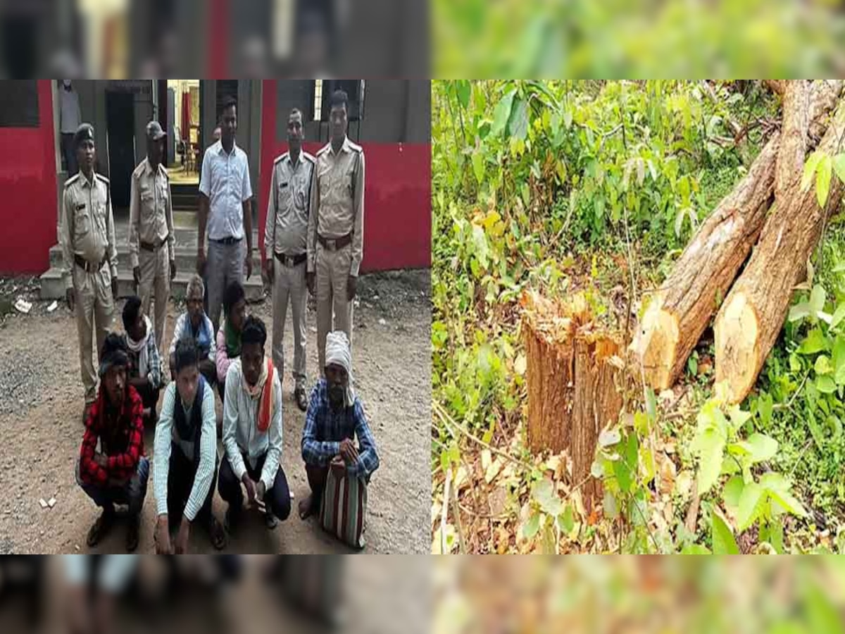 जमीन पर कब्जे के लिए ग्रामीणों ने काटा जंगल, 9 आरोपी गिरफ्तार