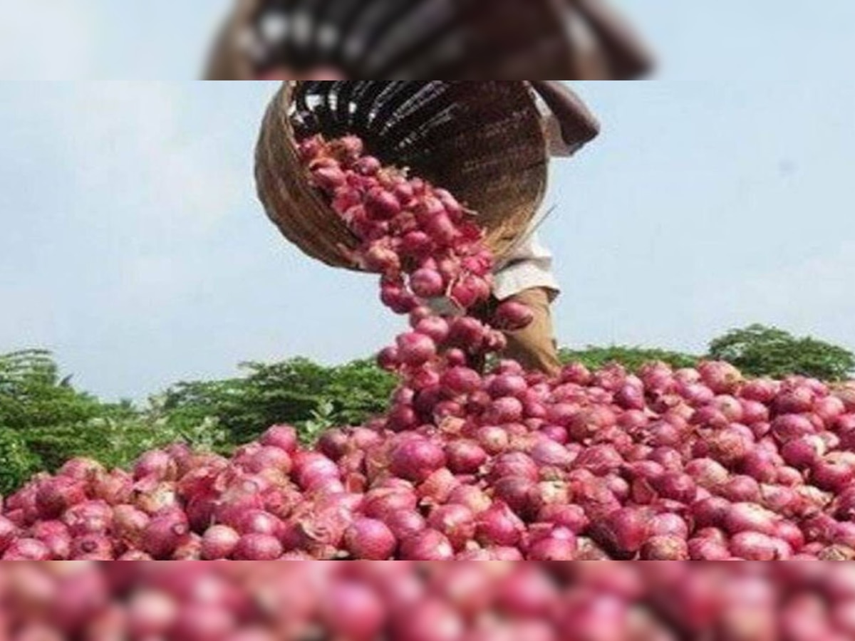 Onion Price Control: देश में अब कहीं नहीं होगी प्याज की किल्लत, मोदी सरकार ने कर दिया ये शानदार इंतजाम