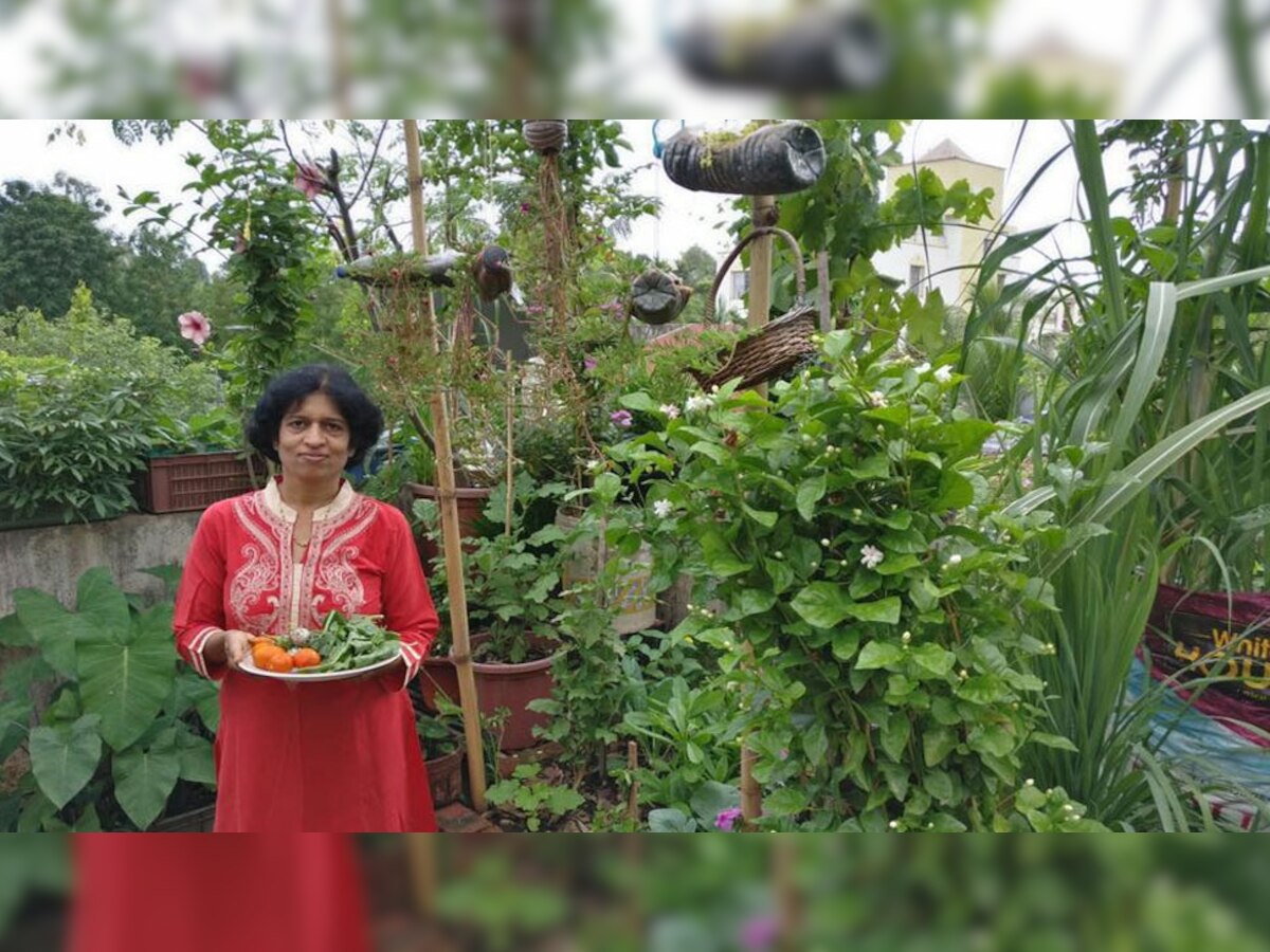 Organic Farming: बिना मिट्टी घर की छत पर सब्जियां उगाती है ये महिला, किचन वेस्ट से करती हैं कमाल