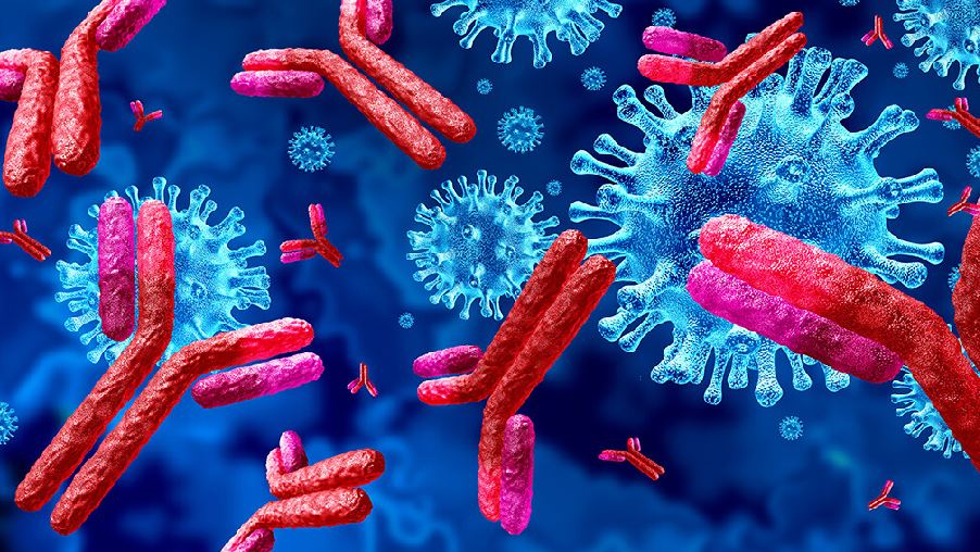 Corona Antibody: मुर्गी के अंडों से होगा कोरोना का इलाज, अंडे के स्पाइक प्रोटीन से बनेगी कोविड एंटीबॉडी