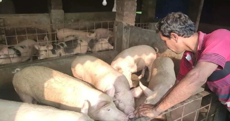 योगी सरकार ने लखनऊ में बैन किया सूअर का मांस, जानिये क्या है बड़ी वजह