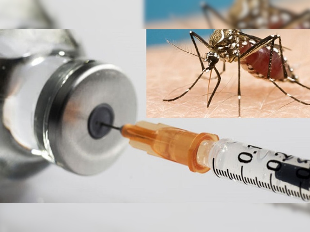 Anti Malaria Vaccine: तैयार हुआ दुनिया का पहला मलेरिया रोधी टीका, इन 3 देशों में लगाने की तैयारी; जानें कितना होगा प्रभावी