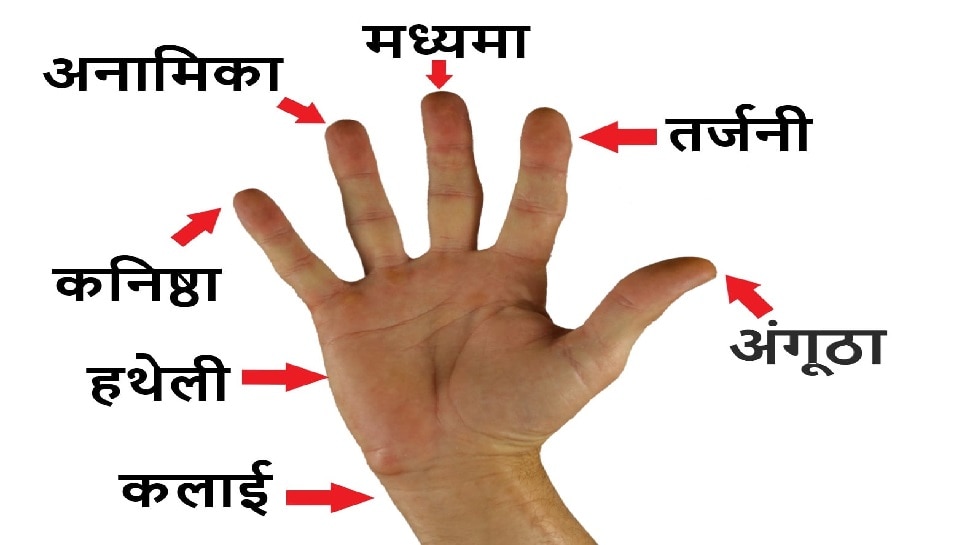 Finger Astrology बेहद लकी होते हैं ऐसी उंगलियों वाले लोग, करियर में