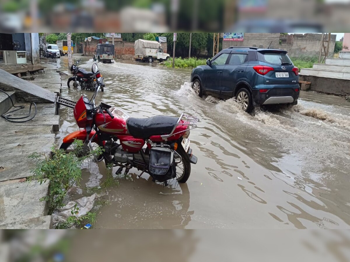 फुलेरा: रेनवाल में लगातार हो रही बारिश, आकाशीय बिजली गिरने से दो मवेशियों की मौत