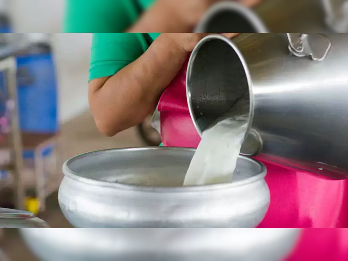 Adulterants in Milk: कहीं आप भी तो नहीं पी रहे हैं मिलावटी दूध? ऐसे करें गड़बड़ी की पहचान? 