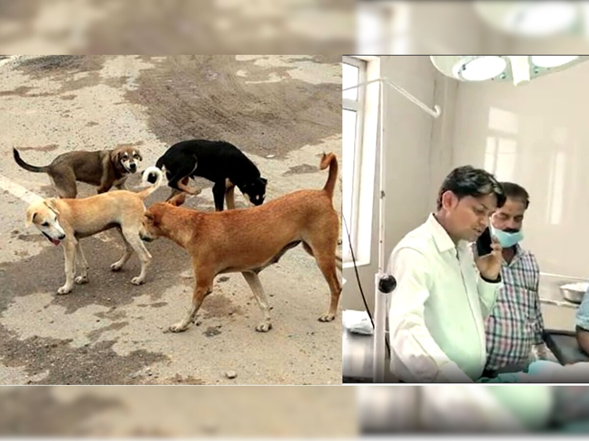 Stray Dog Attacks: मौत नोंचती रही और असहाय खामोश बनी रही 10 वर्षीय लड़की, जानें पूरा मामला