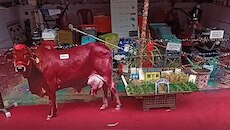 चंबा का मिंजर मेला बना आकर्षण का केंद्र, तस्वीरें देख आपका भी करेगा घूमने का मन