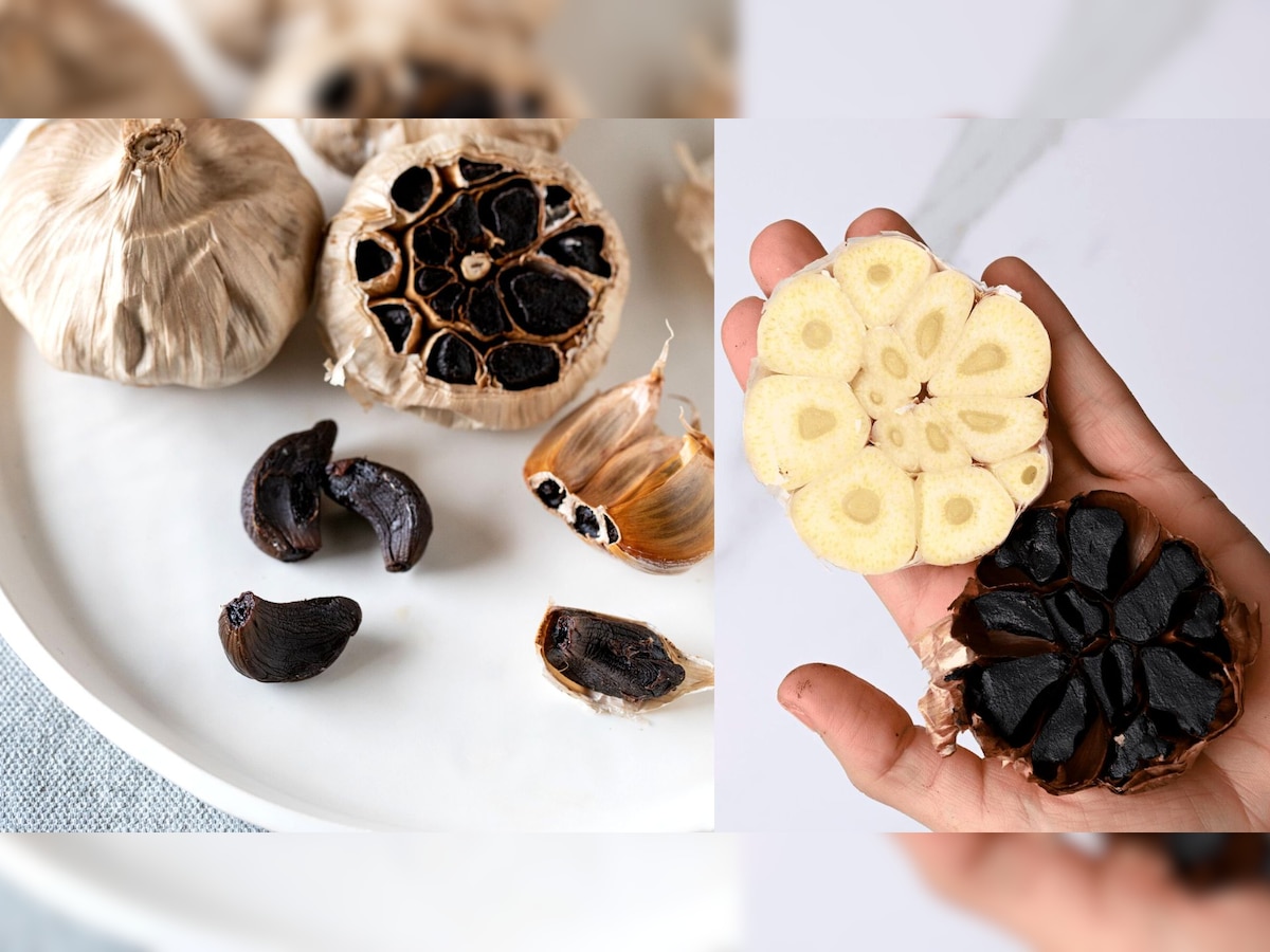 Benefits of Black Garlic: पहले कभी सुना है Black Garlic का नाम, फायदे जानकर हो जाएंगे हैरान