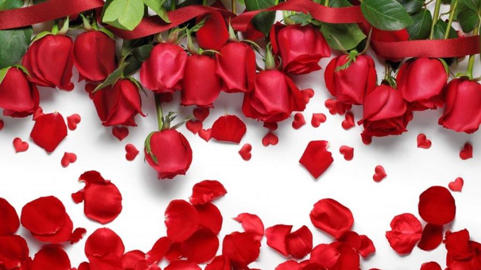 rose-petals-vastu-tips