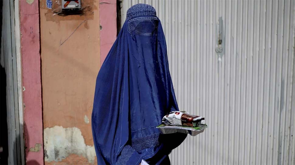 अलामती तस्वीर अलामती तस्वीर