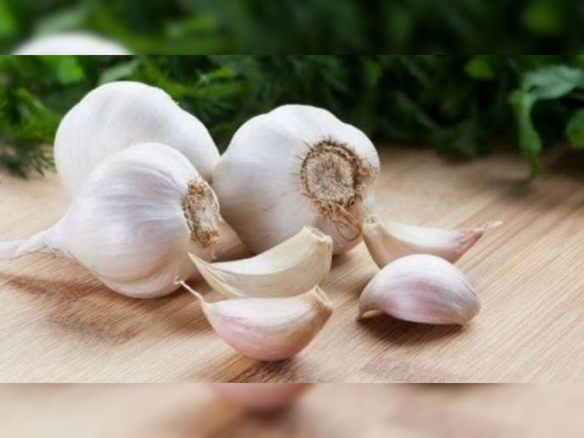 Garlic: लहसुन का ज्यादा सेवन करने से सेहत को हो सकते हैं ये नुकसान,जानें कितनी मात्रा में खाना है सही