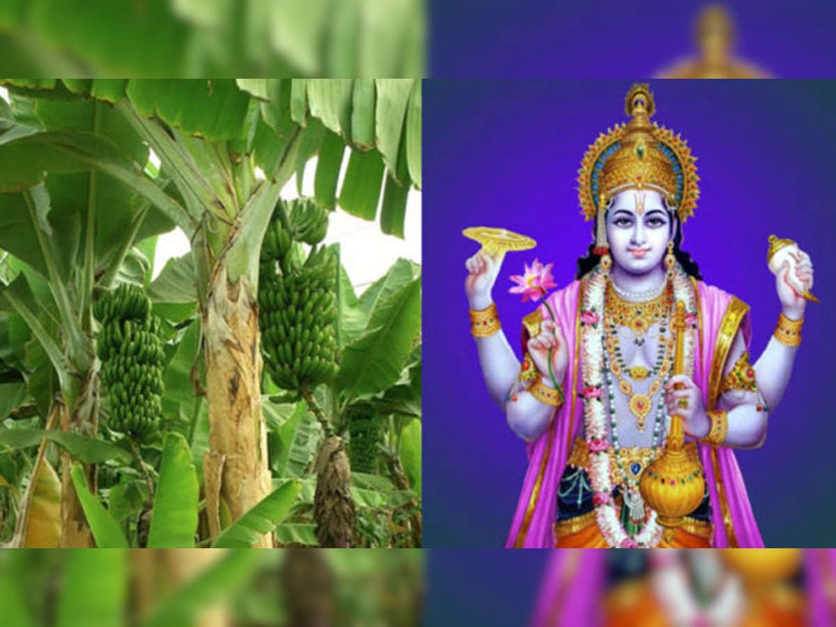 Guruwar Ke Niyam: गुरुवार को भूलकर भी न करें ये 5 काम, भगवान विष्णु और गुरु बृहस्तपति हो जाते रुष्ट; चली जाती धन-दौलत