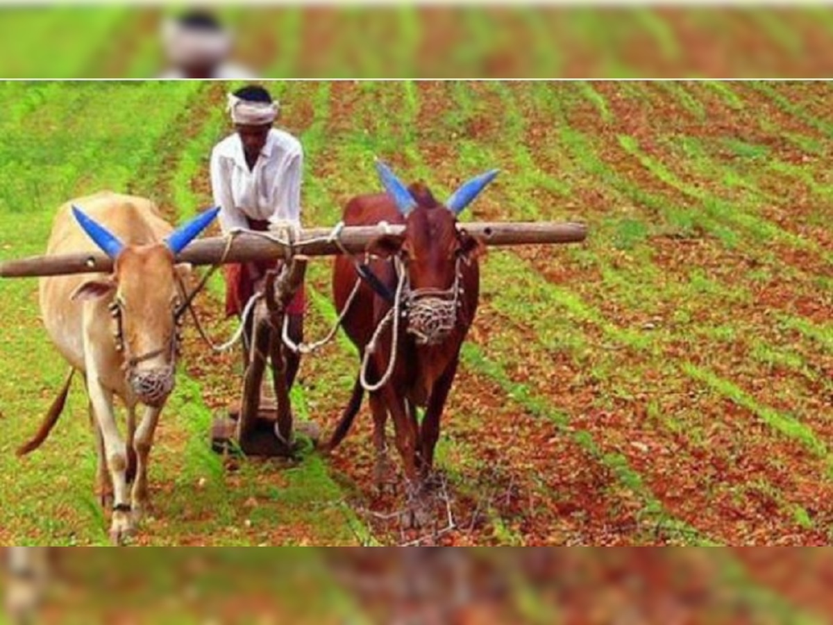 Jharkhand Monsoon: राज्य को सूखाग्रस्त घोषित करने की मांग तेज, 58 प्रतिशत कम हुई है बारिश 