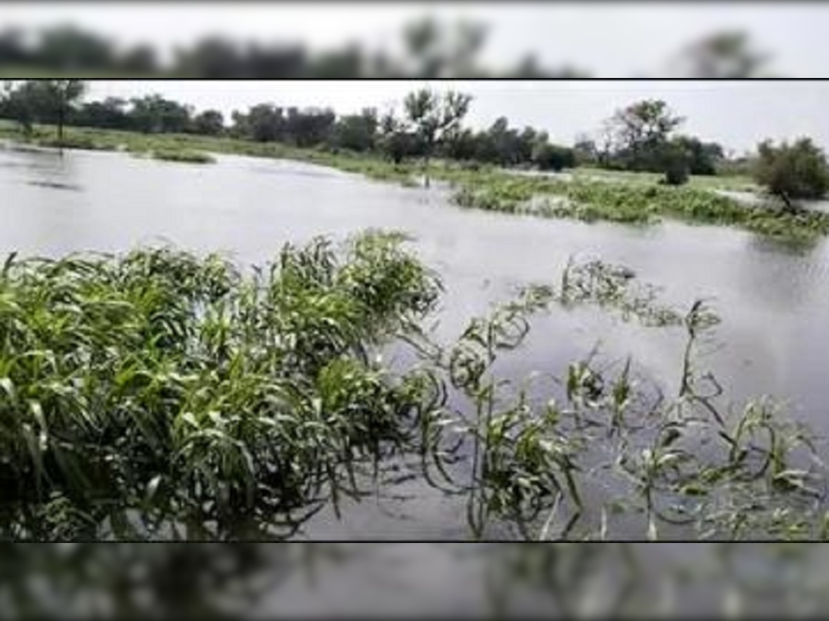 राजस्थान की इस नदी ने हजारों किसानों की जिंदगी में घोल दिया 'जहर', गांवों के अस्तित्व पर संकट