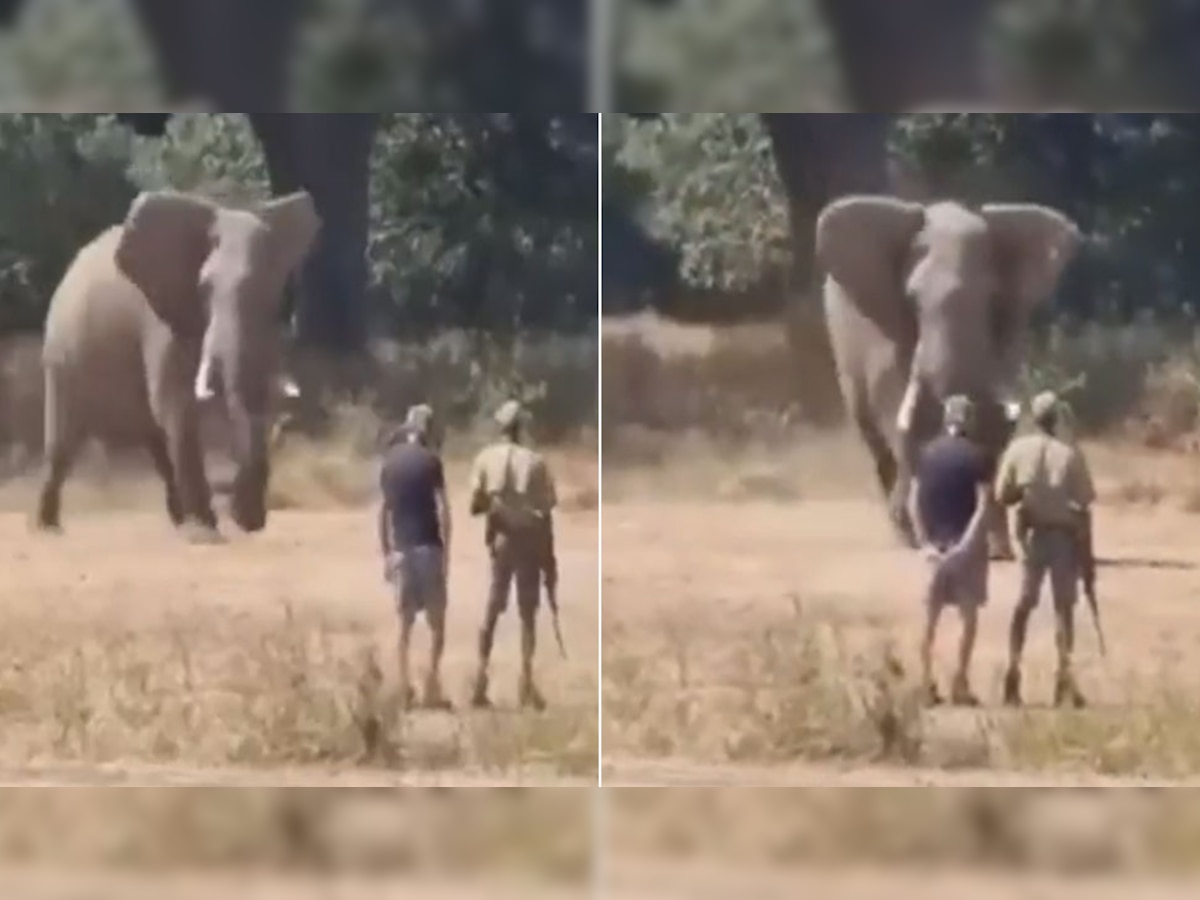 Trending: गुस्साए हाथी के सामने खड़े हो गए दो लोग, किया कुछ ऐसा कि खतरनाक जानवर ने..