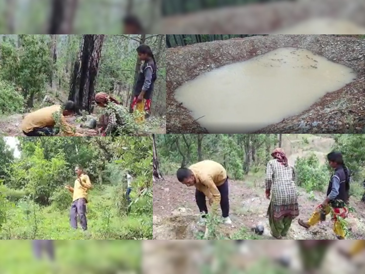 कौन हैं Water Hero चंदन नयाल, जिनकी मेहनत से हरे-भरे हुए जंगल, PM Modi ने भी की सराहना