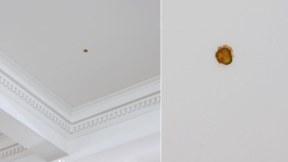 Australian artist latest masterpiece is a McDonalds pickle stuck to a