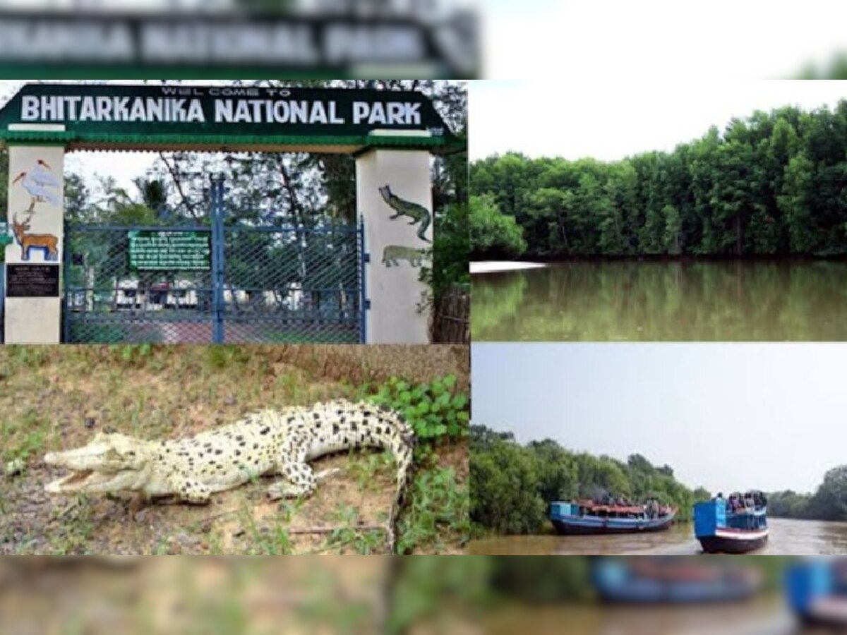 Bhitarakanika Reopens: ପର୍ଯ୍ୟଟକଙ୍କୁ ଖୁସିଖବର ଦେଲେ ରାଜ୍ୟ ସରକାର