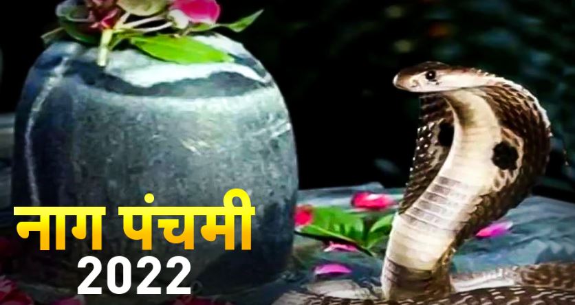 Nagpanchami 2022: नागपंचमी के दिन काल सर्प दोष के निवारण के लिए करें ये उपाय, जानिए पूजन विधि 