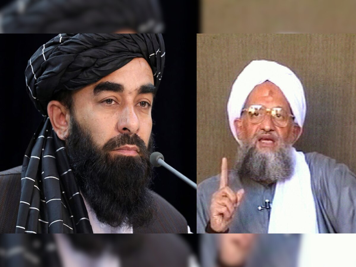 तालिबान के प्रवक्ता जबिउल्लाह मुजाहिद ने ड्रोन हमले की निंदा की है.