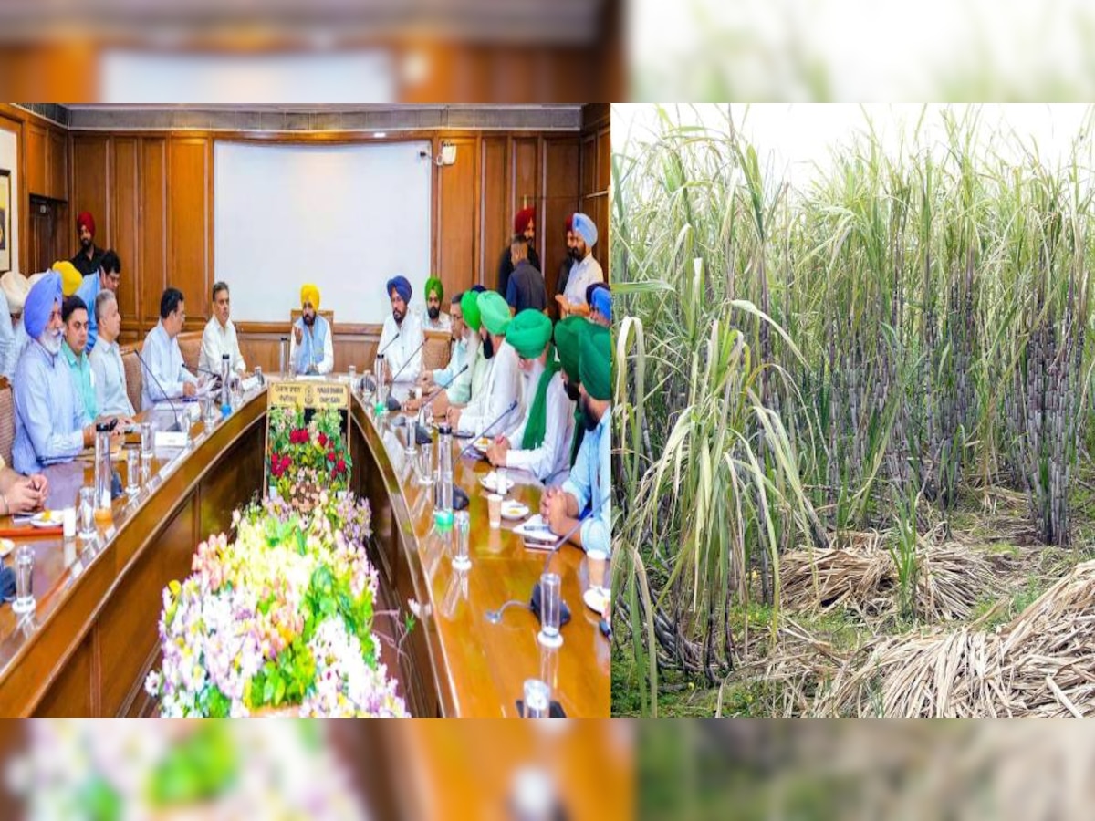 Sugar Cane Farmers And Punjab CM Meeting- 7 ਸਤੰਬਰ ਤੱਕ ਗੰਨਾ ਕਿਸਾਨਾਂ ਨੂੰ ਹੋ ਜਾਵੇਗੀ ਸਾਰੀ ਰਕਮ ਅਦਾ