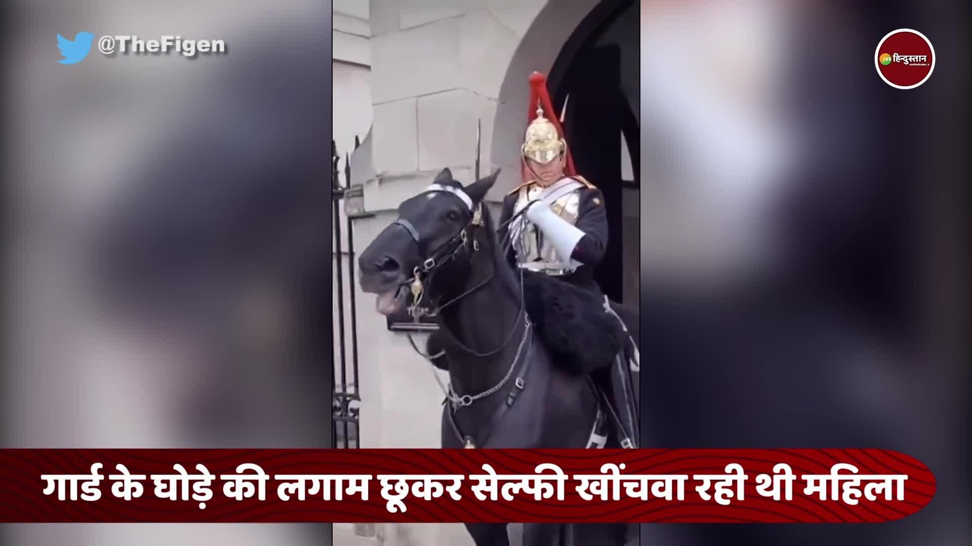 viral video of guard yells at tourist for touching horse at Buckingham