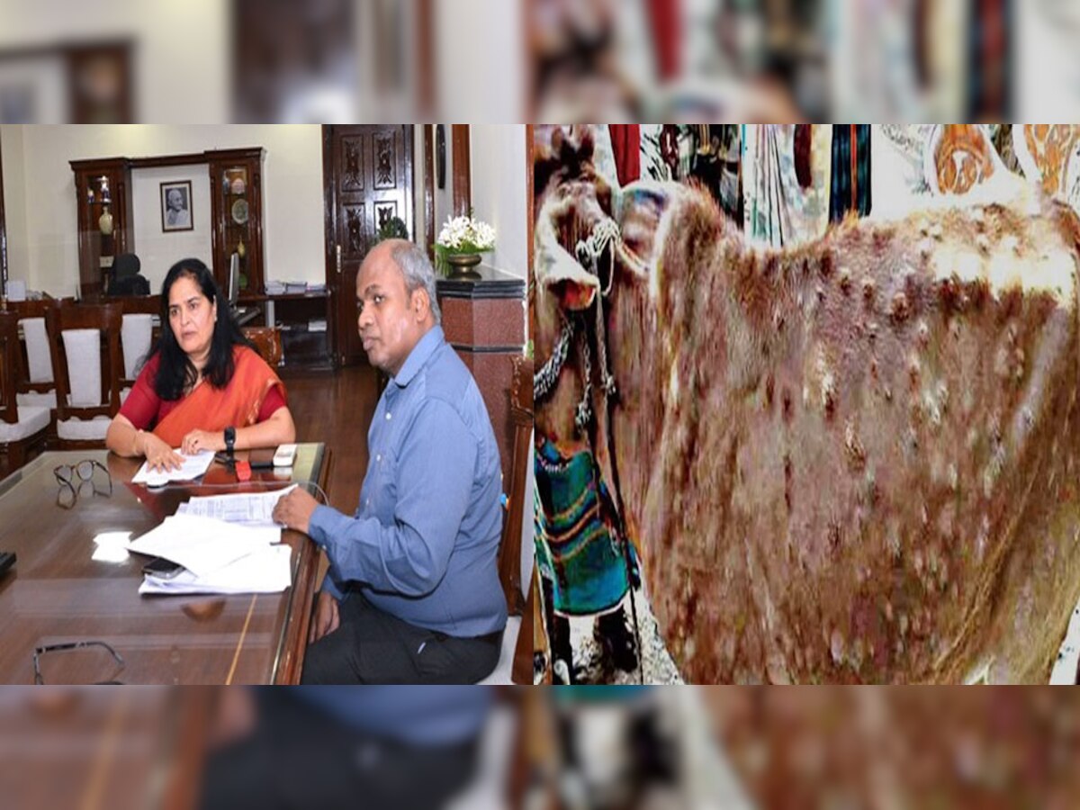 Jaipur : लम्पी स्किन को लेकर मुख्य सचिव ने ली बैठक, गौशालाओं के लिए विशेष निर्देश