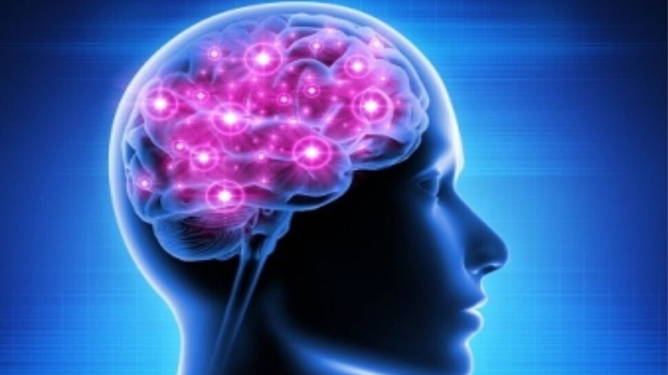 Stress: स्ट्रेस से परेशान होने की जरूरत नहीं, दिमाग के लिए होता है अच्छा! स्टडी में चौकाने वाला खुलासा