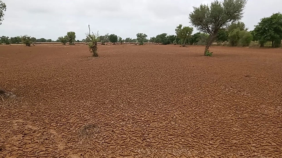 Lohawat: Crops of crops collapsed, rain became trouble