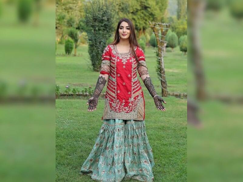 UPSC भी क्लीयर कर चुकी हैं