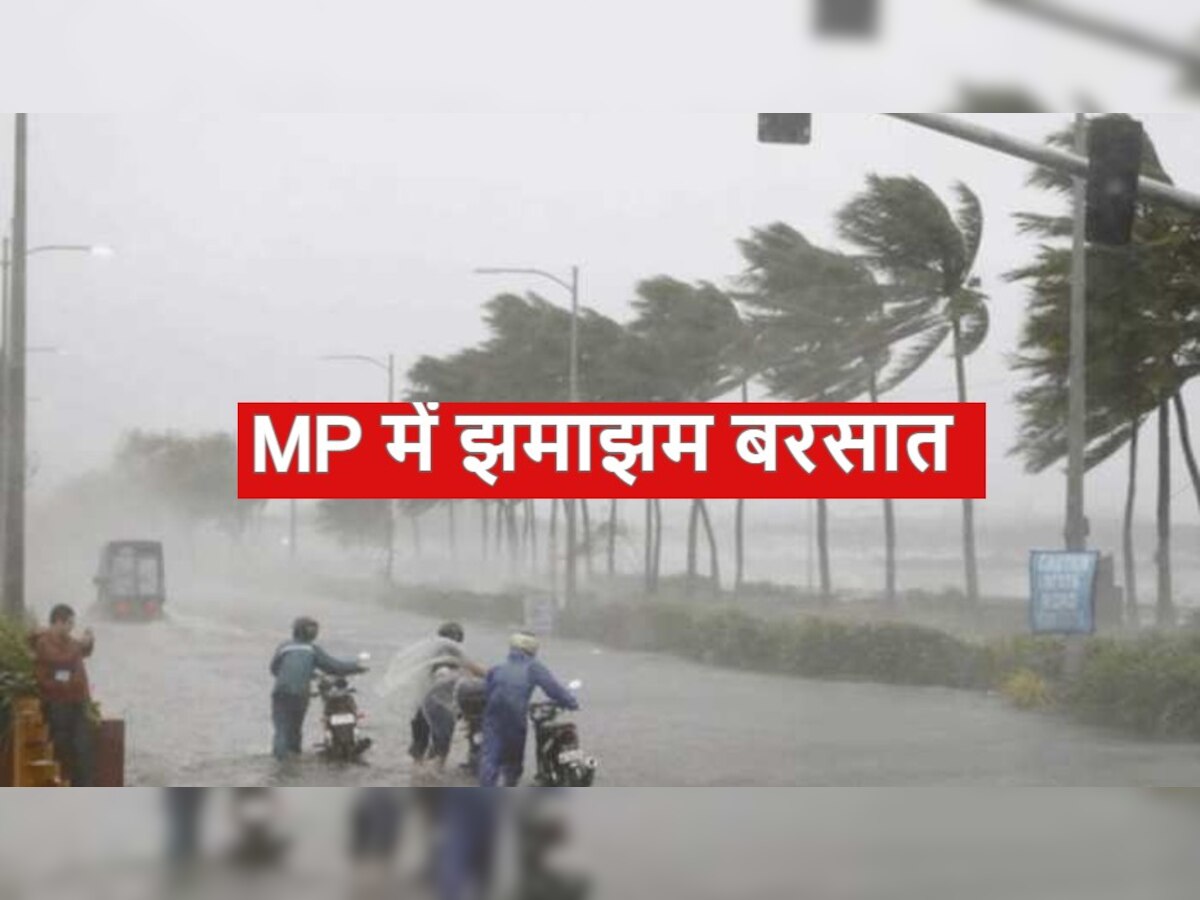 MP Weather: मध्य प्रदेश में आज भी होगी झमाझम बरसात, रीवा-शहडोल में अलर्ट
