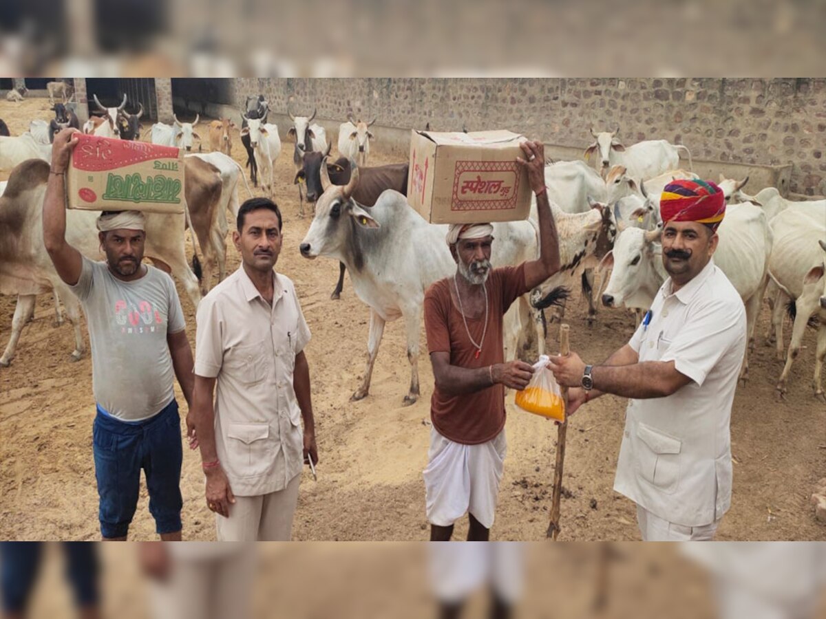 नागौर: तेजी से फैल रहा लंपी स्किन रोग, गायों को किया जा रहा क्वॉरेंटाइन