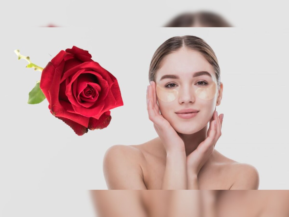 Skin Care Tips: गुलाब की पंखुड़ियों से दूर होती है डार्क सर्कल की समस्या, इस तरह से करें इस्तेमाल