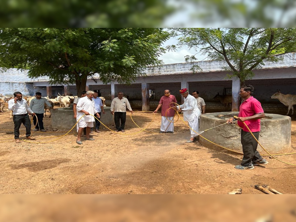 भोपालगढ़:'गौसेवा समिति'ग्रुप से इकट्ठा की गई धनराशि,बीमार गौवंश की हो रही सेवा