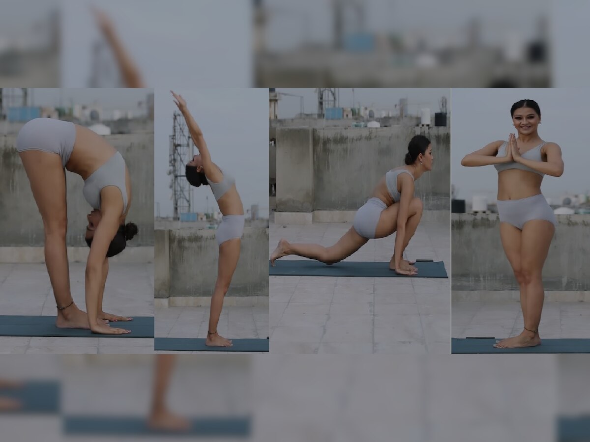 Namrata Malla yoga video: नम्रता ने इस अंदाज में किया योग, वीडियो देख दंग रह गए फैंस