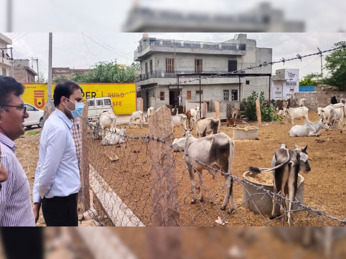 गौशालाओं का किया निरीक्षण