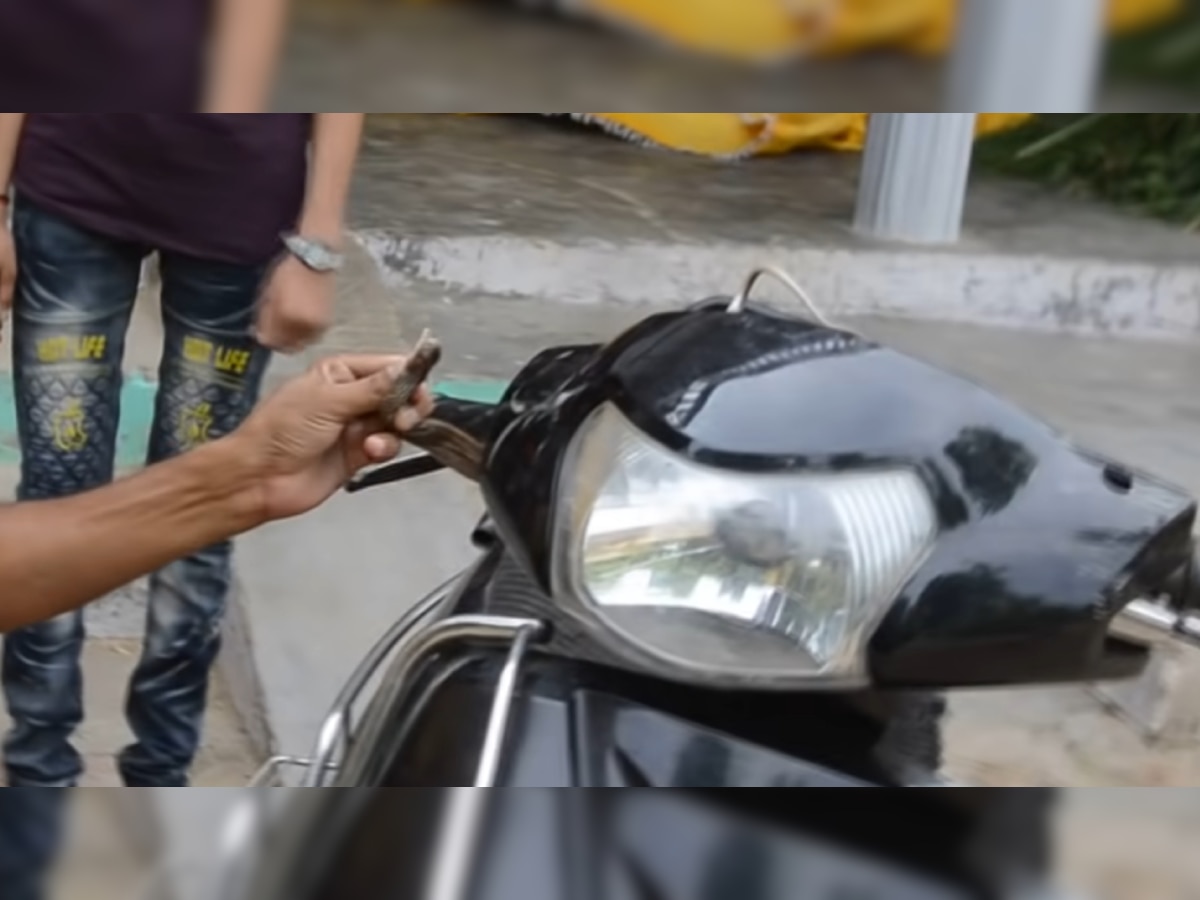 Bike, Scooter या Car में सांप घुस जाए तो करें ये 3 काम, वरना जान बचानी पड़ेगी भारी!