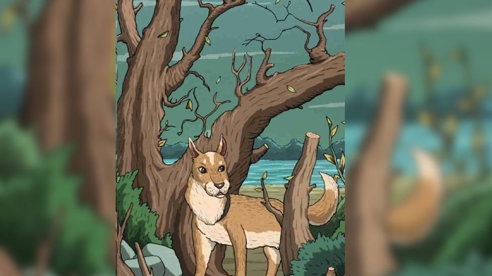 Optical Illusion: खुद को जीनियस समझते हैं तो 13 सेकेंड में बिल्ली को खोजकर दिखाए, 99% लोग हुए फेल